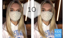 Load image into Gallery viewer, Masks