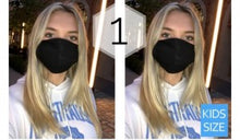 Load image into Gallery viewer, Masks
